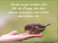 Finde immer wieder Zeit