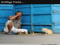 Knifflige Schach-Partie