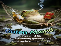 Entspannter Abend mit einem coolen Frosch