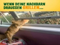 Kleiner Spion im Grillparadies