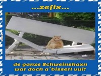Kater krawummst die Bank