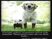 Beste Freunde in H�hen und Tiefen