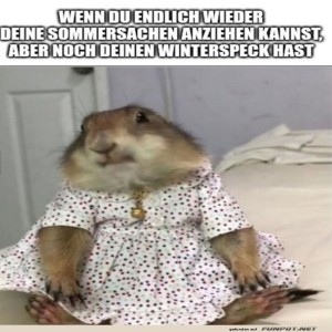 fun-Bild: Sommerkleid-Chic mit Winterspeck