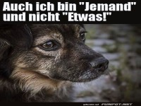Auch ich bin jemand