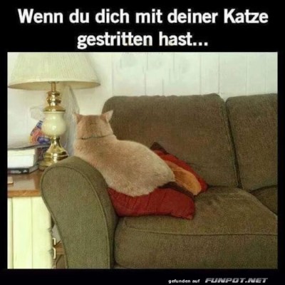 Wenn-die-Katze-bockig-ist.jpg von Leif