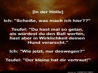 Der ersch�tternde Hunde-Betrug