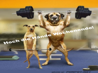 Fellige Fitnessfreunde heben ab!