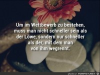 Wettbewerb