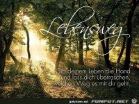lebensweg