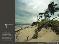 Bilddestages 13-12-01