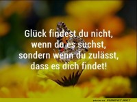 Glck findest du nicht