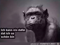 Ich kann nix daf�r