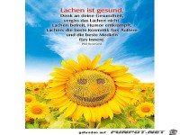 Lachen ist gesund