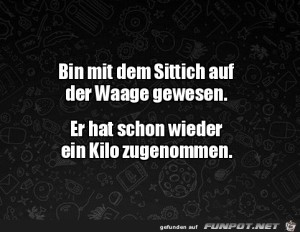 Der-Sittich-hat-schon-wieder-zugenommen.jpg auf www.funpot.net