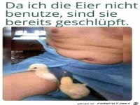 Sie sind geschl�pft