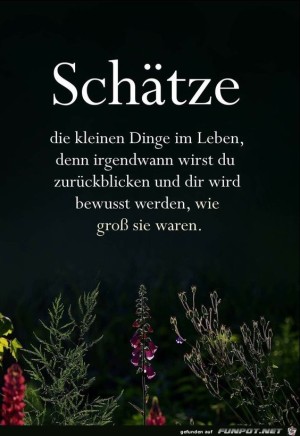 Schaetze-die-kleine-Dinge-im-Leben.jpg auf www.funpot.net