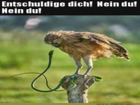 Keiner gibt nach
