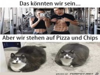 K�nnten wir sein