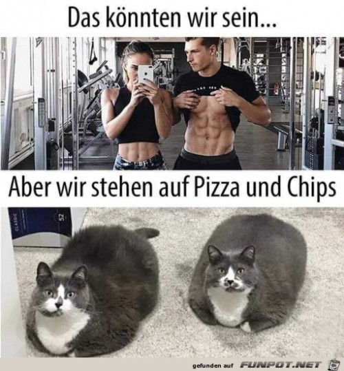 Könnten-wir-sein.jpg auf www.funpot.net