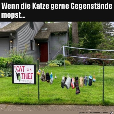 Diebische-Katze.jpg von Pina