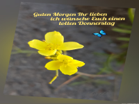 Guten morgen Donnerstag.Despina20220717