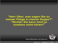 Herr Ober, was sagen Sie zu meiner Fliege in meiner Suppe?
