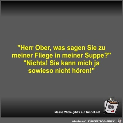 Herr-Ober,-was-sagen-Sie-zu-meiner-Fliege-in-meiner-Suppe?.jpg von Fossy