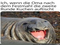 Zweite Runde Kuchen