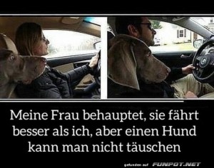 Der-Hund-sieht-das-anders.jpg auf www.funpot.net