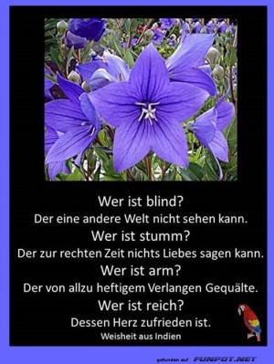 Wer-ist-blind?.jpg auf www.funpot.net
