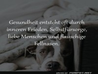 Gesundheit und Glck mit flauschigen Freunden