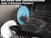 �ko sp�lmaschine