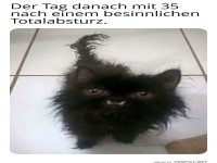 Kater nach der wilden Party