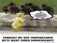 Enten-Sonnencreme-Fail!