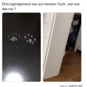 Tatverdächtiger-auf-frischer-Tat-erwischt!.jpg von Justus2002