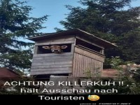 Die Touri-Kuh