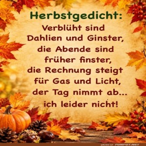 Herbst:-Die-Rechnung-steigt,-ich-nicht!.jpg von Nachtstern