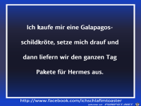 Galapagos-Schildkroete