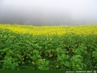 fuer Bildgenerator freigegeben 001456