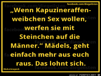 diegeilsten Kapuzineraeffchen