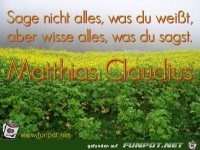 Sage nicht alles was du weisst aber wisse alles was du sa