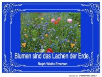 Blumen sind das Lachen der Erde