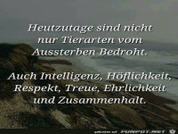 Heutzutage