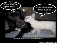 Hast Kaffee gemacht