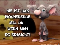 Nie ist das Wochenende mal da