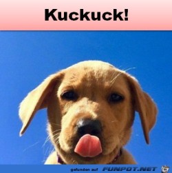 Kuckuck.jpg auf www.funpot.net