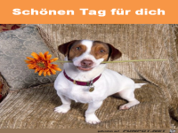 Sch�nen Tag
