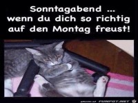 Wenn du dich auf den Montag freust