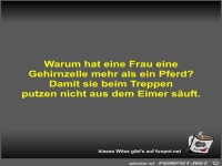 Warum hat eine Frau eine Gehirnzelle mehr als ein Pferd?