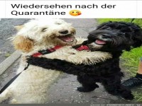 Wiedersehen nach der Quarant�ne